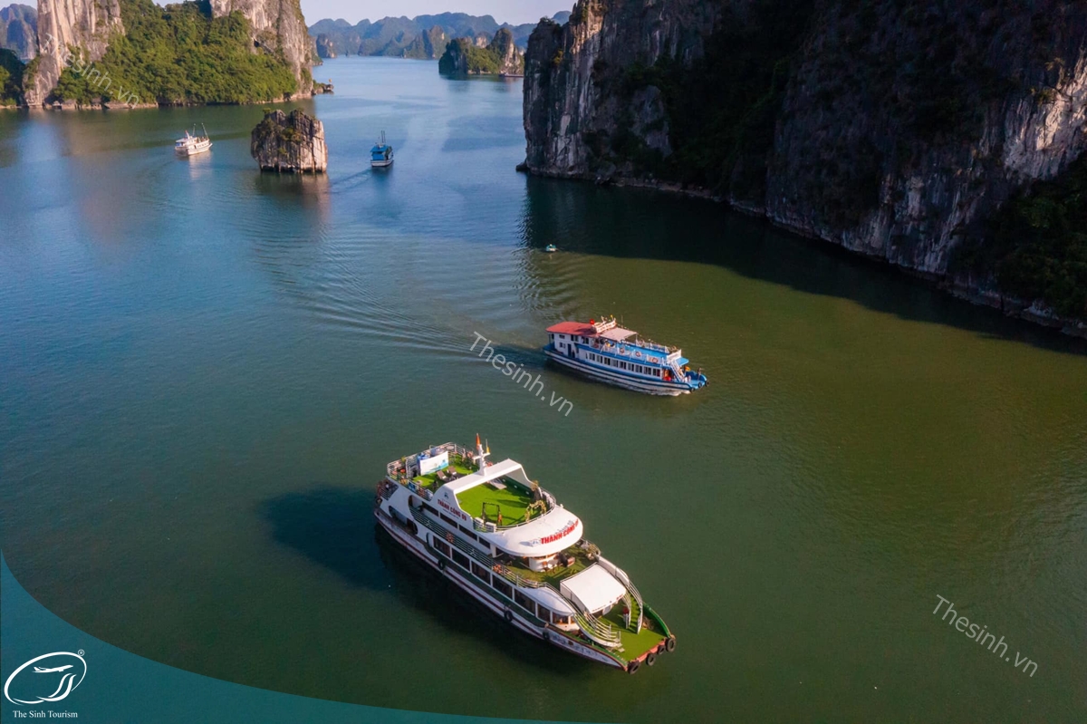 du-lich-the-sinh-the-sinh-tourist-du-lich-ha-long-tour-ha-long-022-20250725 du lich the sinh the sinh tourist du lich ha long tour ha long 022 20250725