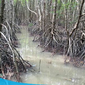 TOUR MIỀN TÂY 3 NGÀY 2 ĐÊM 5 tour du lich ca mau du lich mien tay the sinh tourist 002