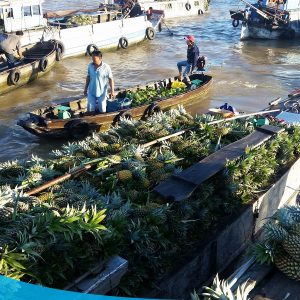 TOUR MIỀN TÂY 3 NGÀY 2 ĐÊM 14 tour du lich can tho cho noi cai rang the sinh tourist 006