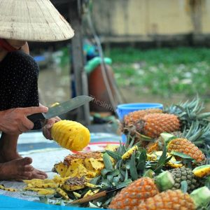 tour du lich can tho cho noi cai rang the sinh tourist 010