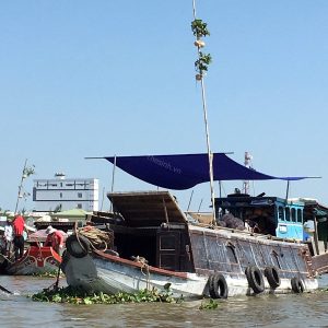 tour du lich can tho cho noi cai rang the sinh tourist 012
