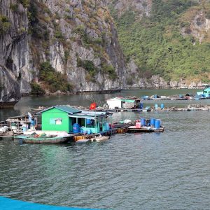 tour du lich cat ba du lich dao cat ba lang chai the sinh tourist sinh cafe travel 002 20240919