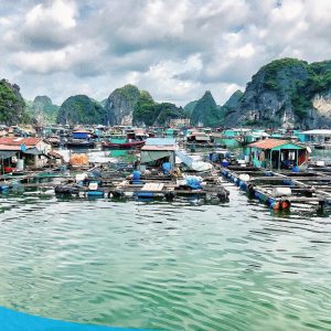 tour du lich cat ba du lich dao cat ba lang chai the sinh tourist sinh cafe travel 011 20240919