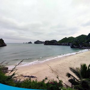 tour du lich cat ba du lich dao cat ba vinh lan ha the sinh tourist sinh cafe travel 008 20240919