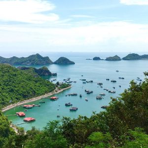 TOUR CÁT BÀ 2 NGÀY 1 ĐÊM 14 tour du lich cat ba du lich the sinh tourist the sinh tourism sinhcafe travel 018 20240510 142151