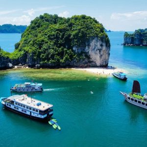 TOUR CÁT BÀ 2 NGÀY 1 ĐÊM 6 tour du lich cat ba du thuyen vinh lan ha the sinh tourist sinh cafe travel the sinh tourist 1 004 20260129