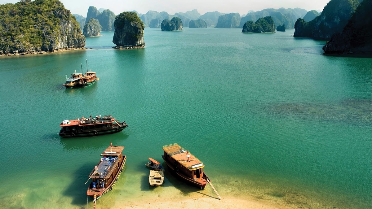TOUR CÁT BÀ 2 NGÀY 1 ĐÊM 23 Đặt combo Cát Bà 2 ngày 1 đêm tại Thế Sinh Tourist