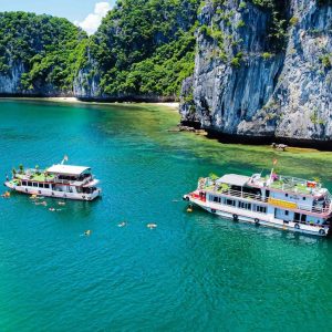 tour du lich cat ba du thuyen vinh lan ha the sinh tourist sinh cafe travel the sinh tourist 1 010 20260129