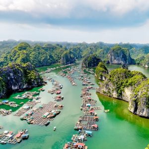 tour du lich cat ba du thuyen vinh lan ha the sinh tourist sinh cafe travel the sinh tourist 1 015 20260129