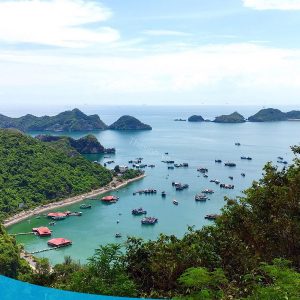 TOUR CÁT BÀ 2 NGÀY 1 ĐÊM 12 tour du lich cat ba the sinh tourist 018