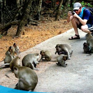TOUR CẦN GIỜ - ĐẢO KHỈ 1 NGÀY