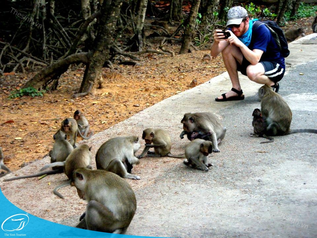 TOUR CẦN GIỜ - ĐẢO KHỈ 1 NGÀY 24 tour du lich dao khi can gio the sinh tourist the sinh tourism sinh cafe travel 008