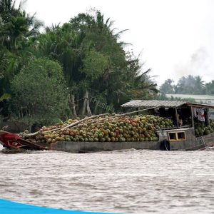 tour du lich mien nam du lich mekong the sinh tourist the sinh tourism sinh cafe travel 016