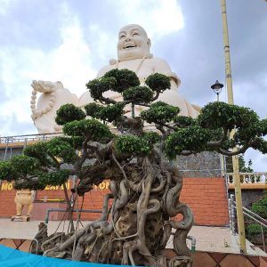tour du lich mien tay du lich chua vinh trang tien giang the sinh tourist 004