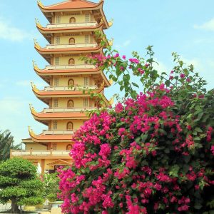 tour du lich mien tay du lich chua vinh trang tien giang the sinh tourist 012